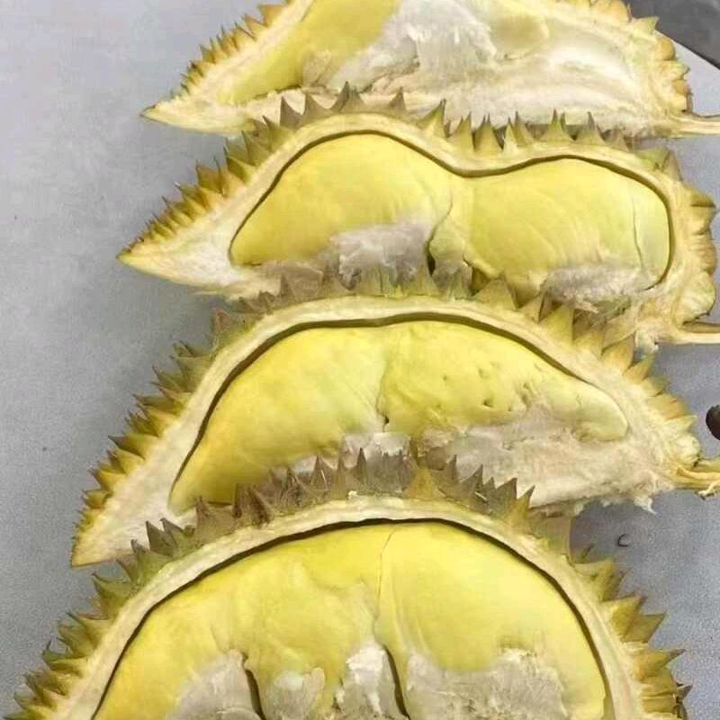 佳家生鲜果品（麻丘商贸城店〉