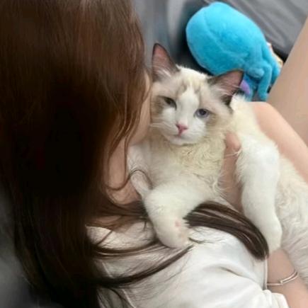 懒猫吉他手