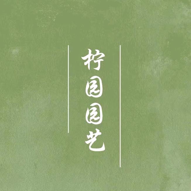 柠园园艺的头像