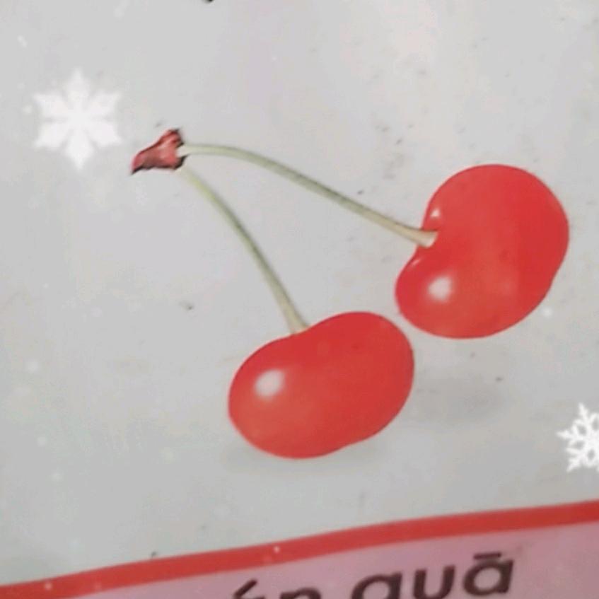 樂樂