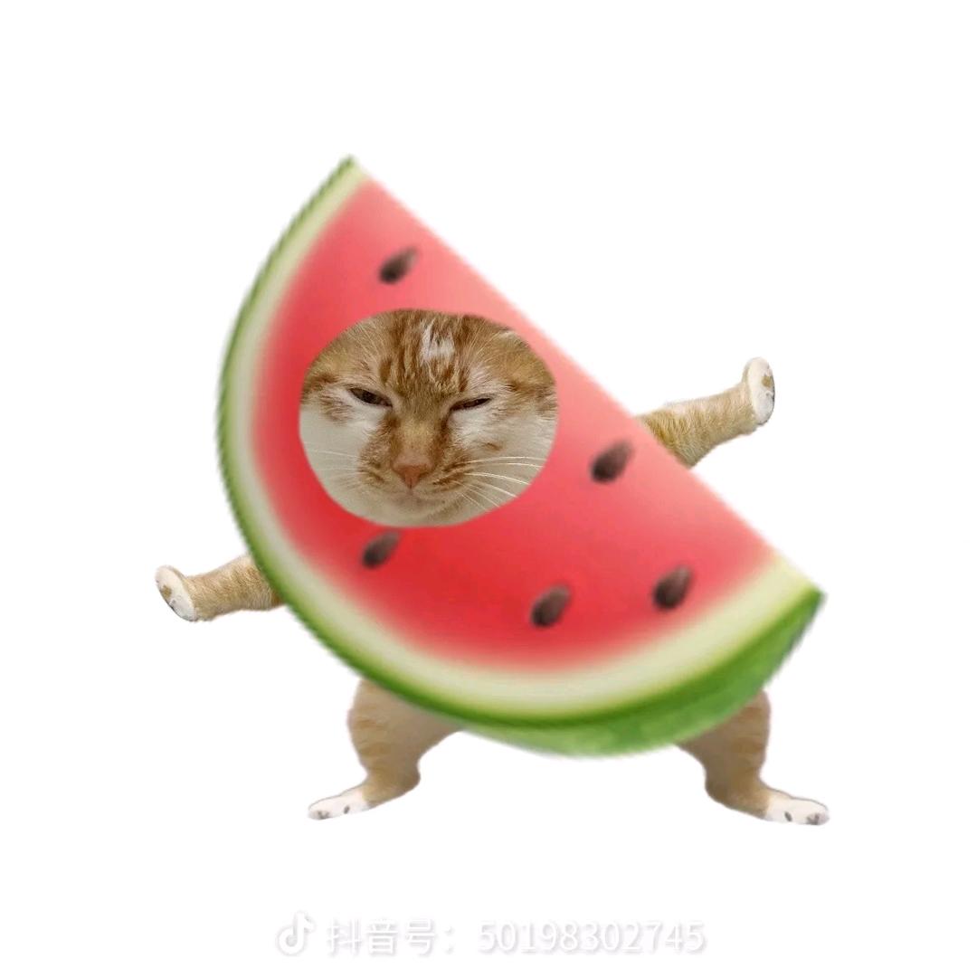 岁岁念安安
