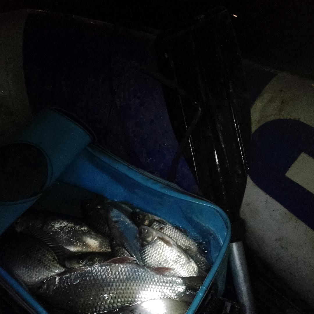 仗剑走天涯-趴窝