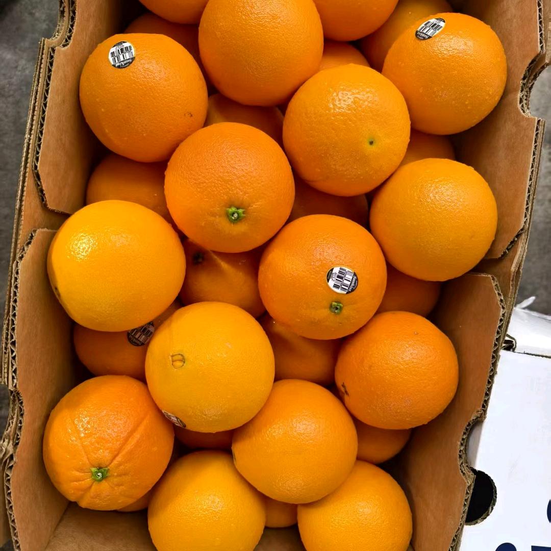 骑着毛驴去兜风