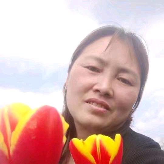 香水白合