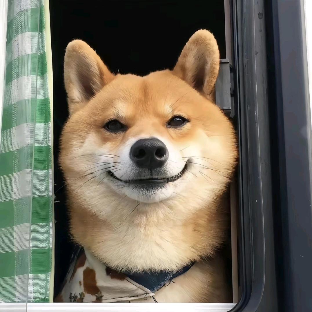 LLLLLLL