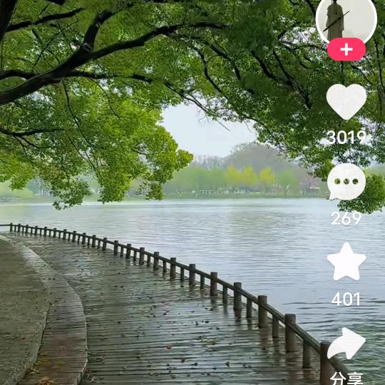 莫菲