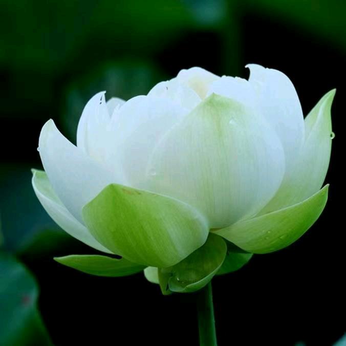 柘城县求知书店