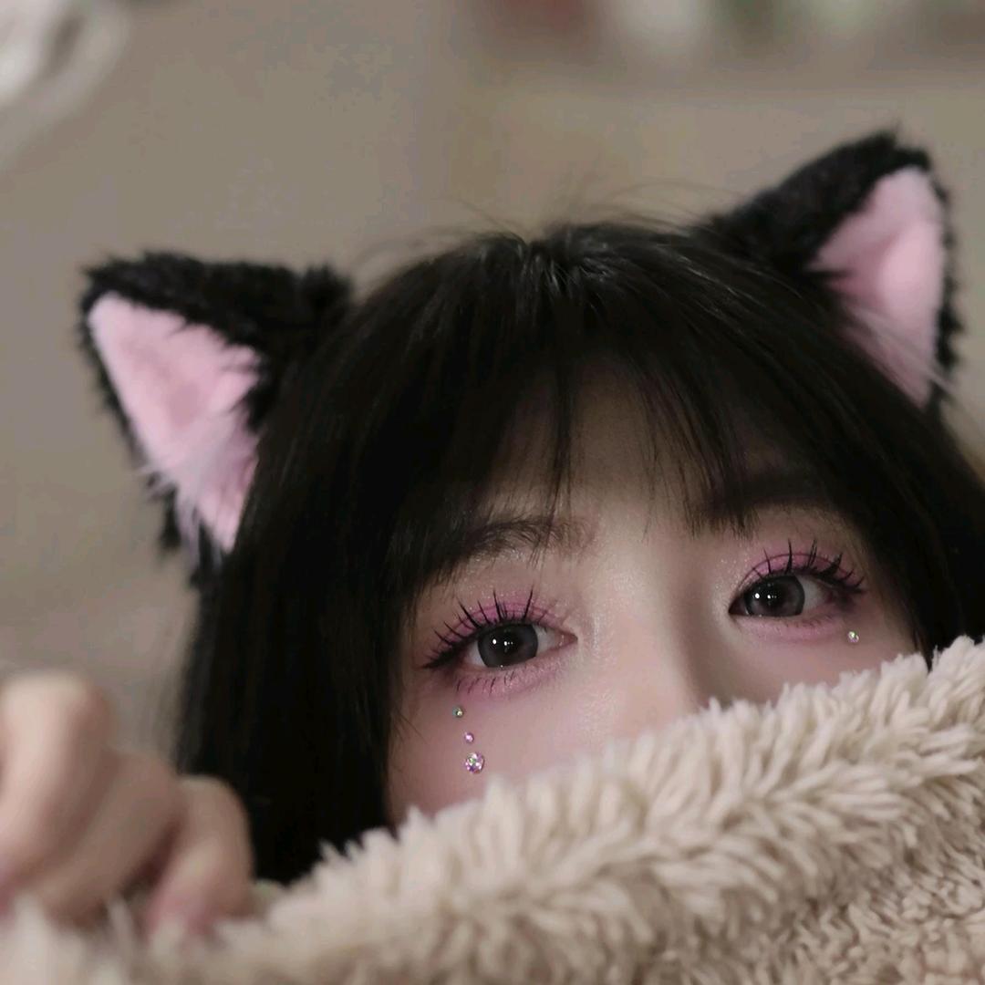 三八是只猫