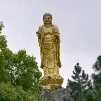 强颜欢笑