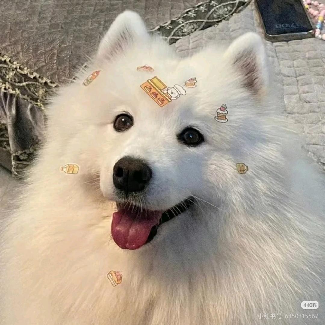 棉子糖