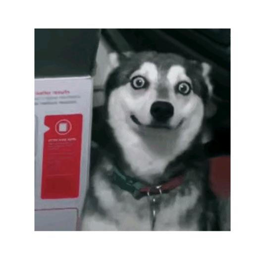 坦克大战一炮走红