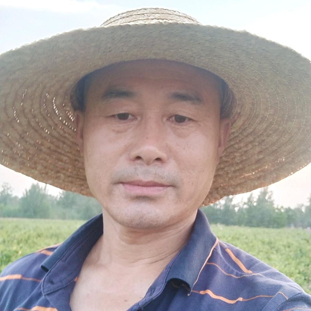 做个实实在在烤鸡腿，厚切炒酸奶