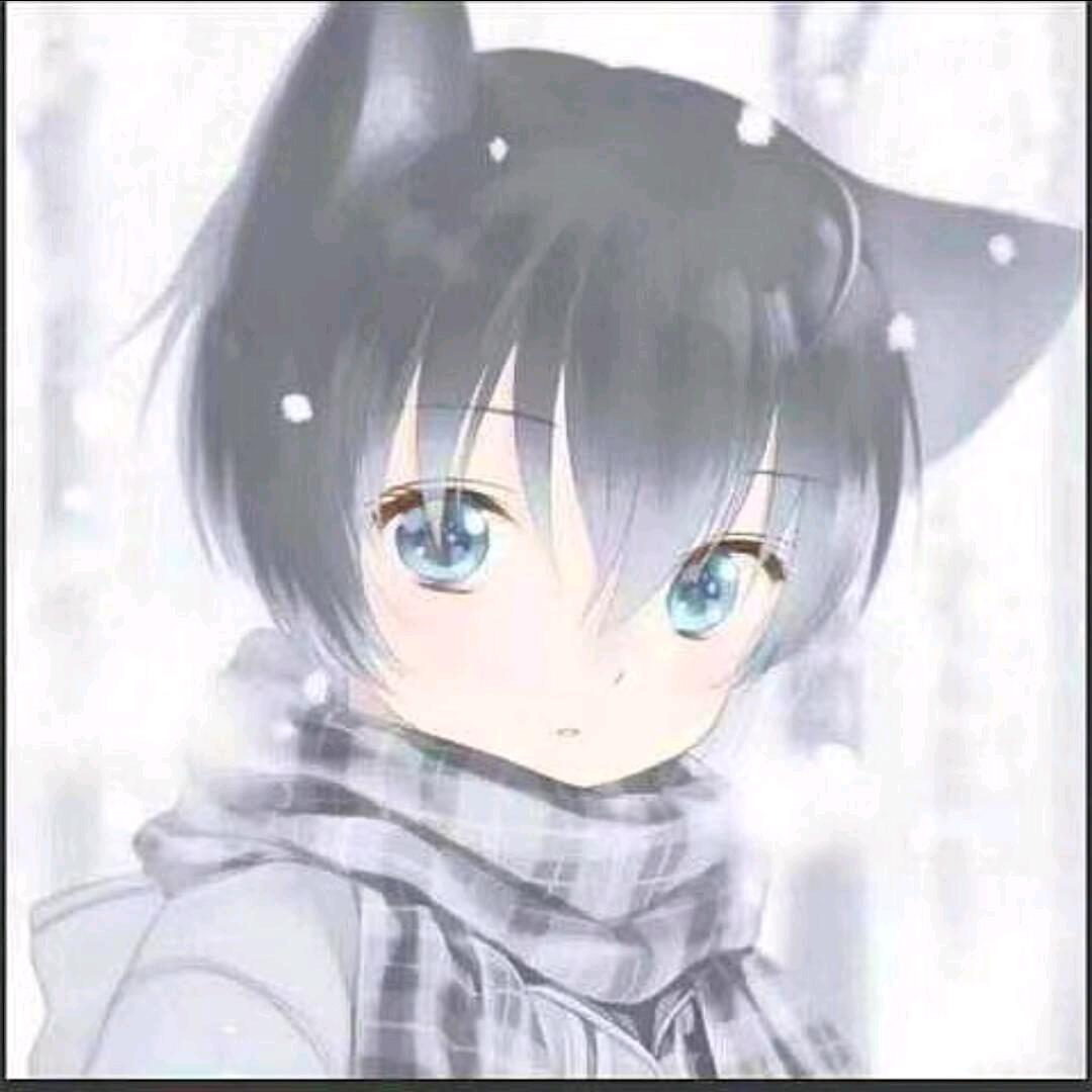 阴阳无泪