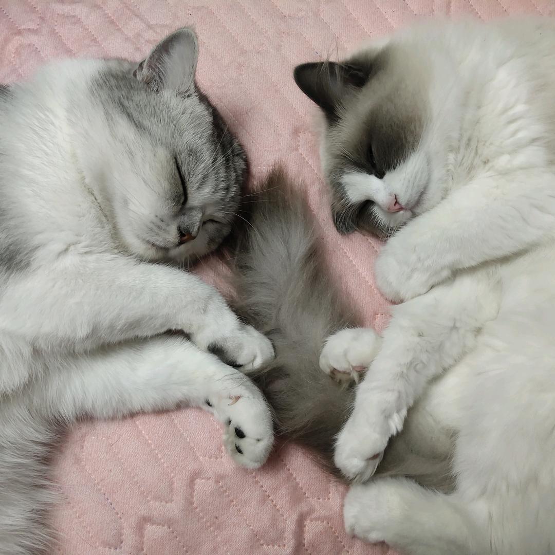 。。。小 含