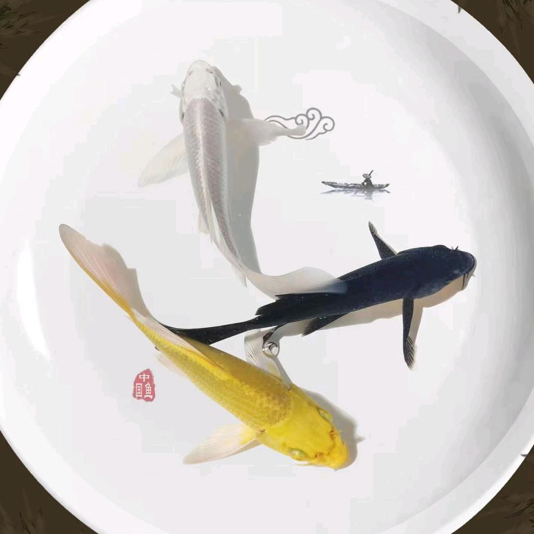 鱼悦渔场