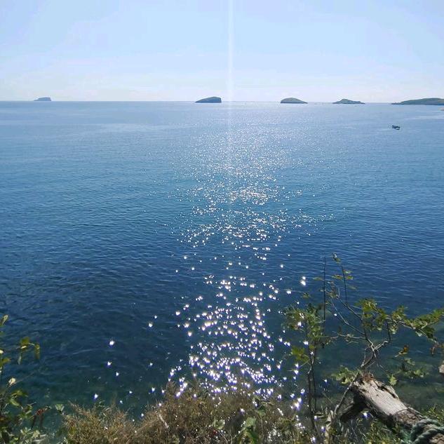 嘟嘟嘟