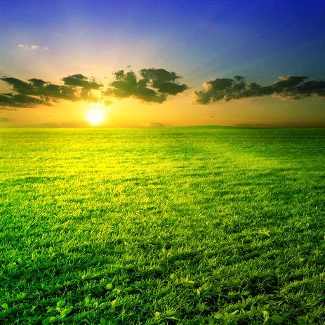 未来，在我手中