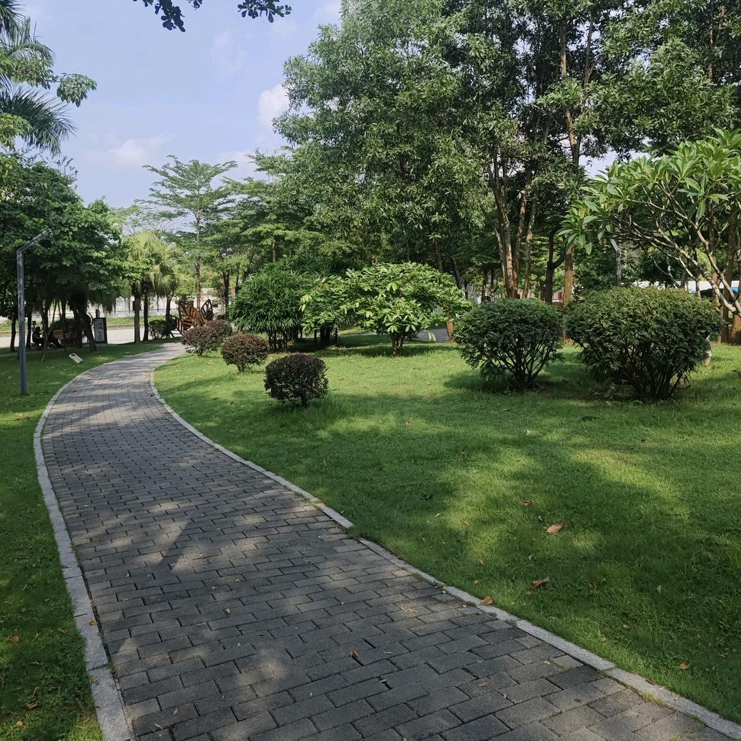 我心飞扬
