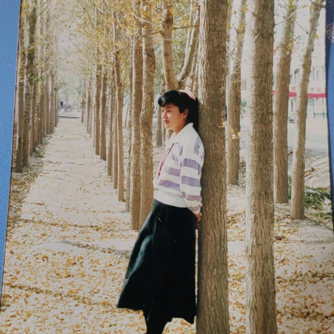 心向心野，追风白云