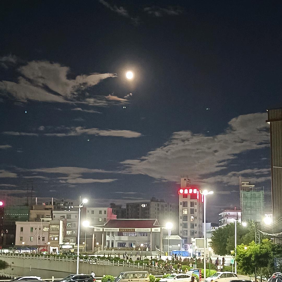 小熊韦尼