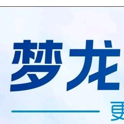 龙口市梦龙台球用品店