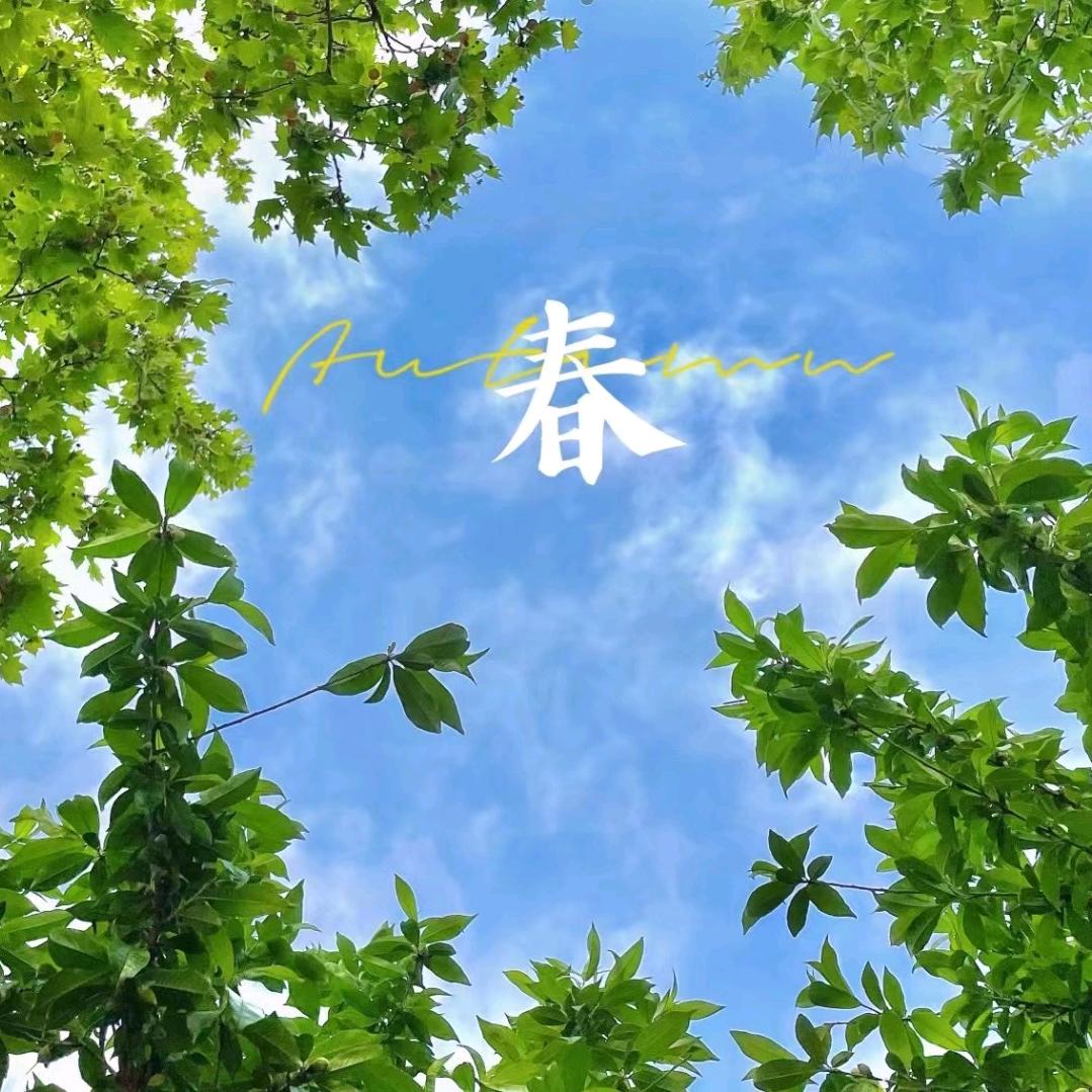 五哈