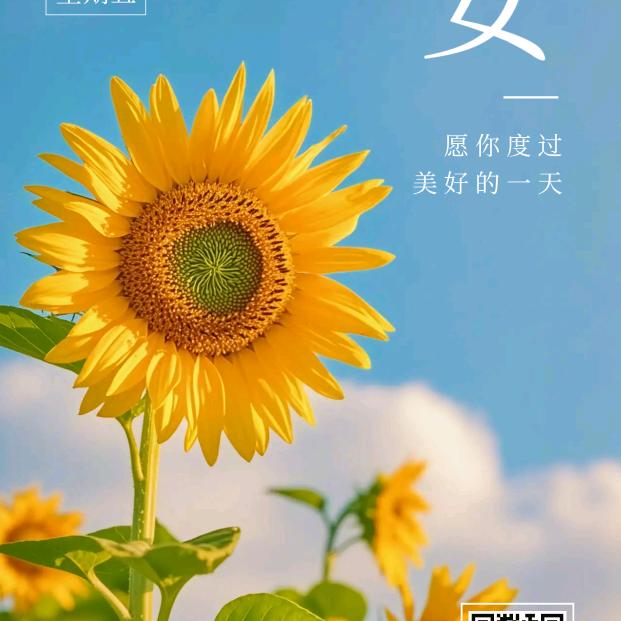 时尚潮流名流店