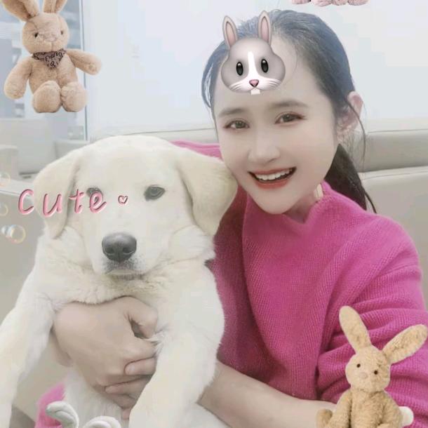 董小花🌸