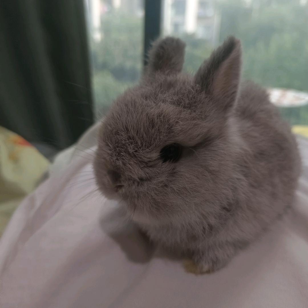 柳贯一