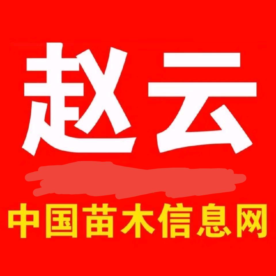 中国苗木信息网赵云
