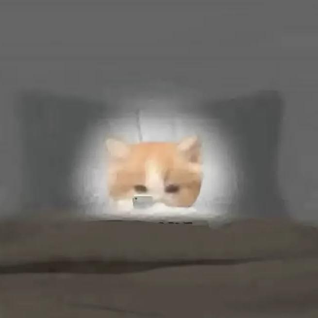 深情