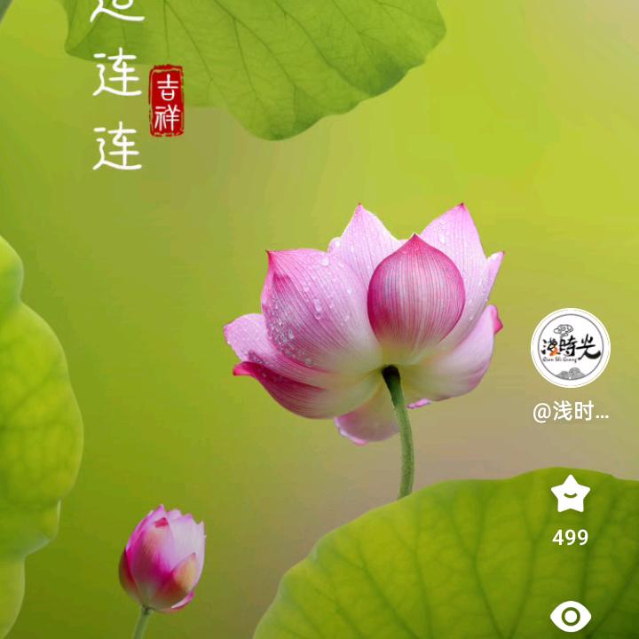不一样的自己