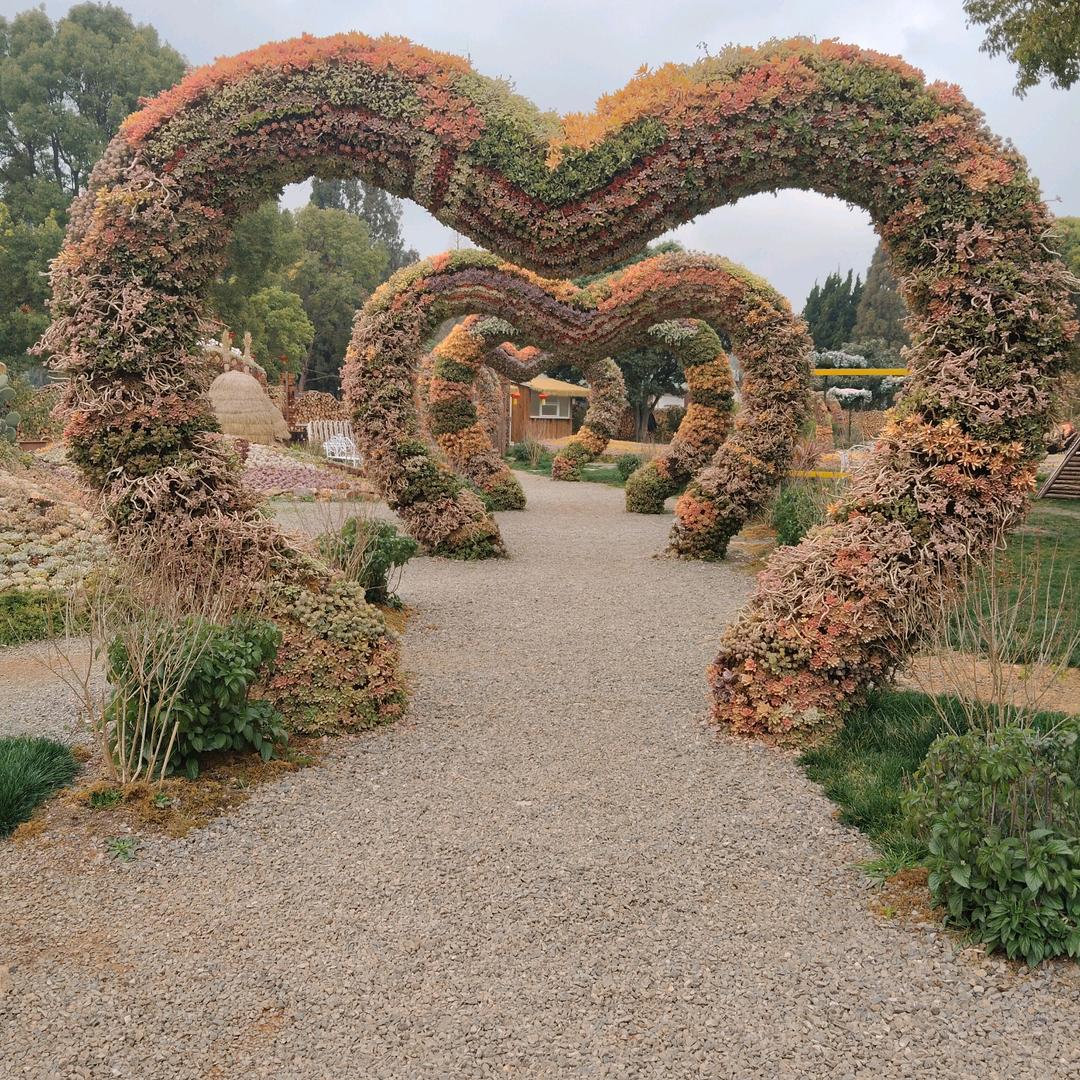 爱的太真伤的太深