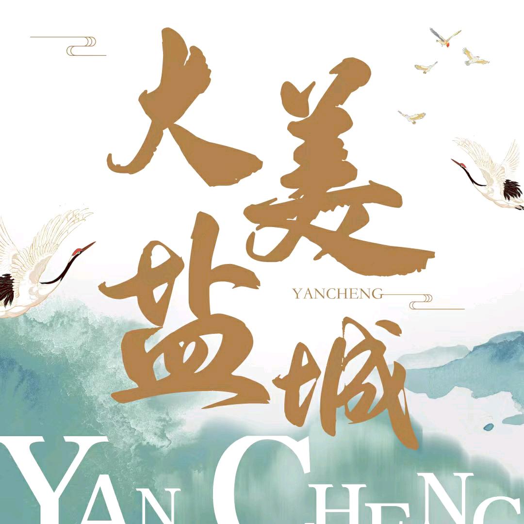 猫猫带你吃喝玩乐