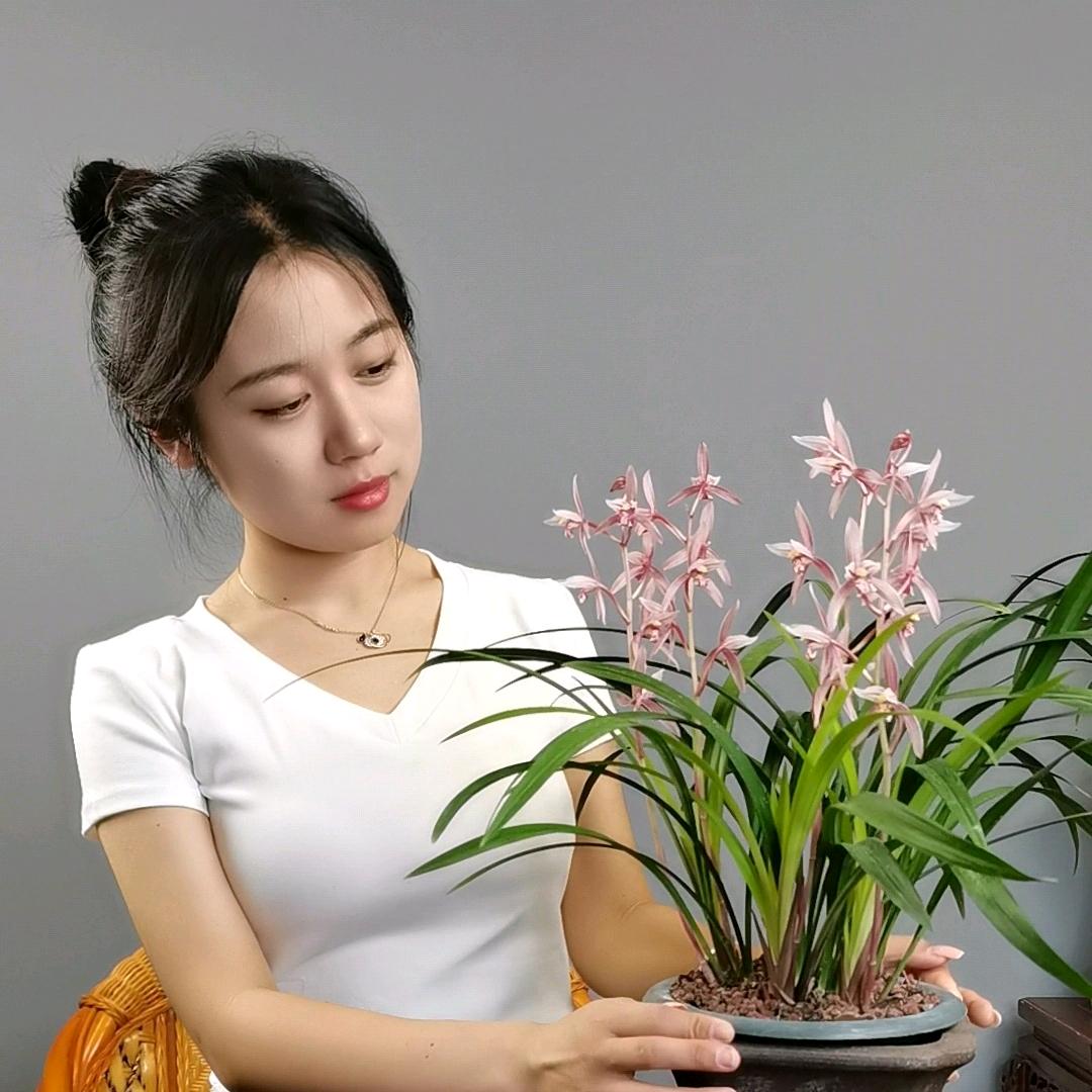 清兰阁梦婷