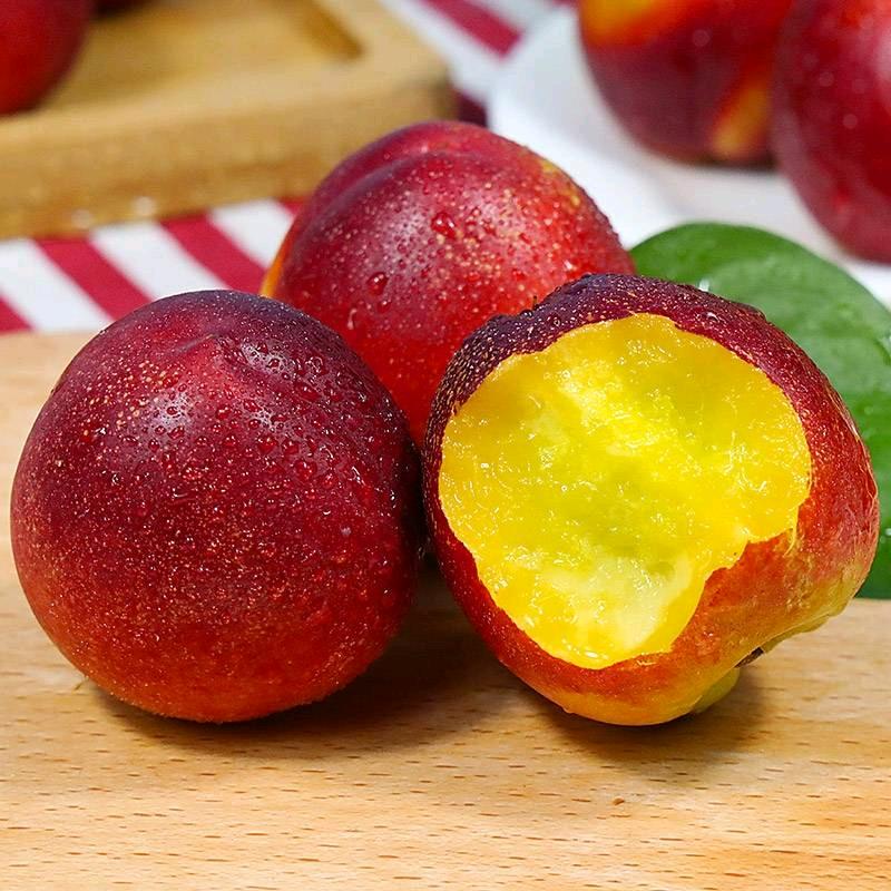 一个大棚的故事