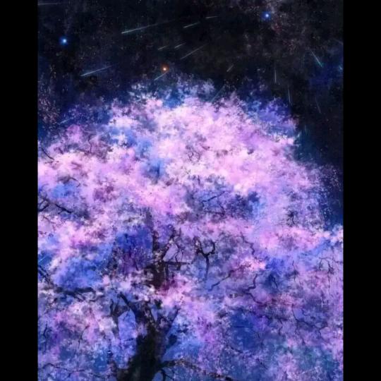 云蕸☁️