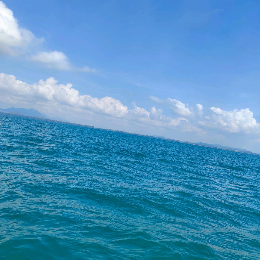 未来可期( っ'-')╮ =͟͟͞͞🏀