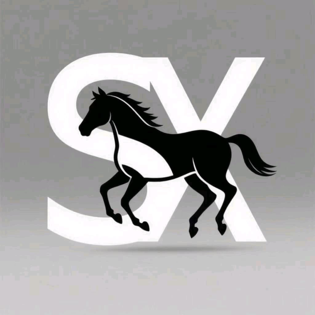 SX-青梅竹马