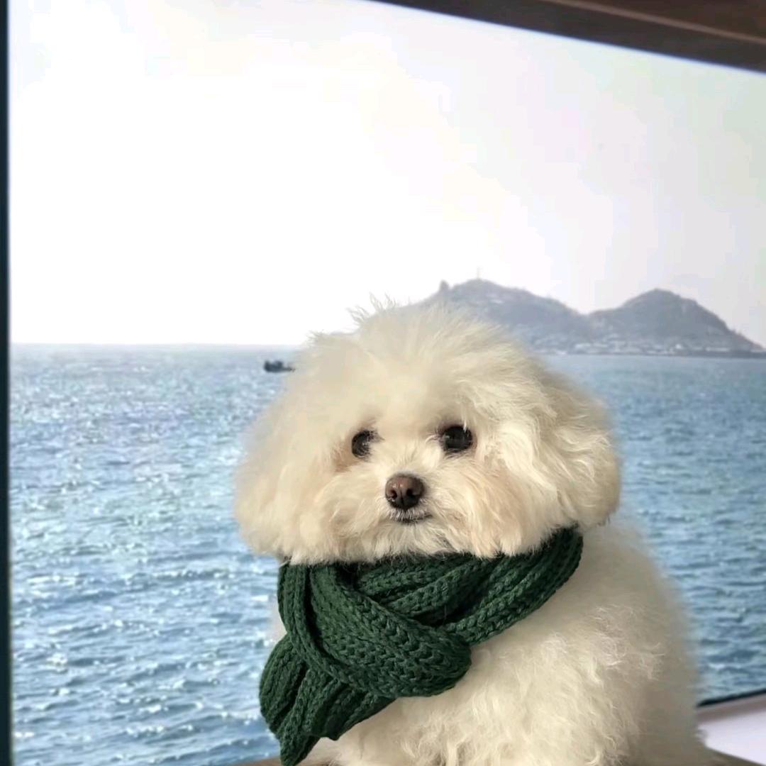 多喝点水