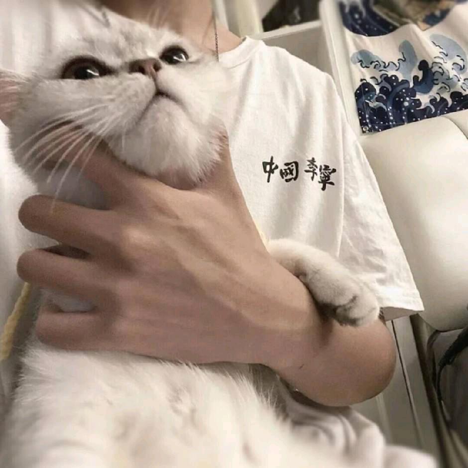阳
