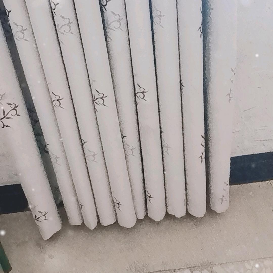 艳子