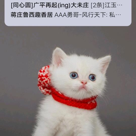 白发老翁