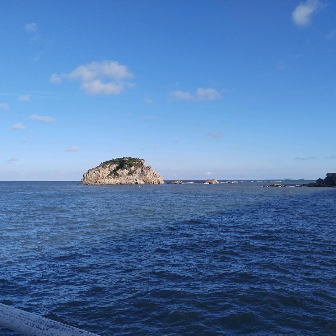 又菜又爱玩