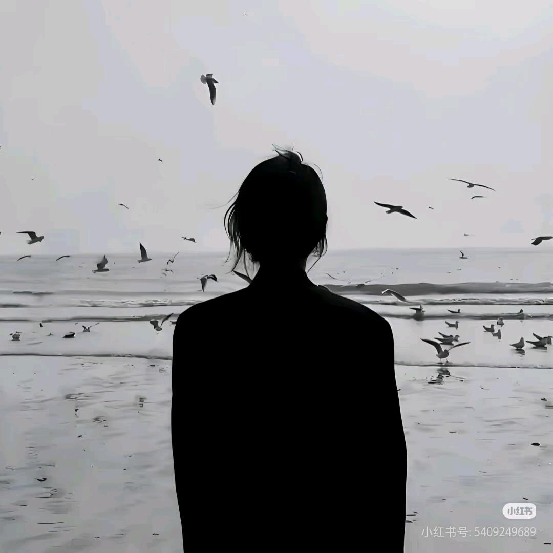 低谷有雾i