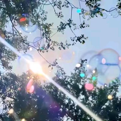 锤Rio惊鸿情关系大于团子我的珂珂心不冷