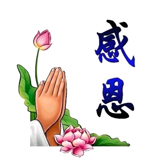 宾阳感恩有你