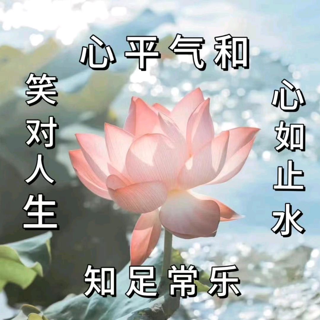 煤球