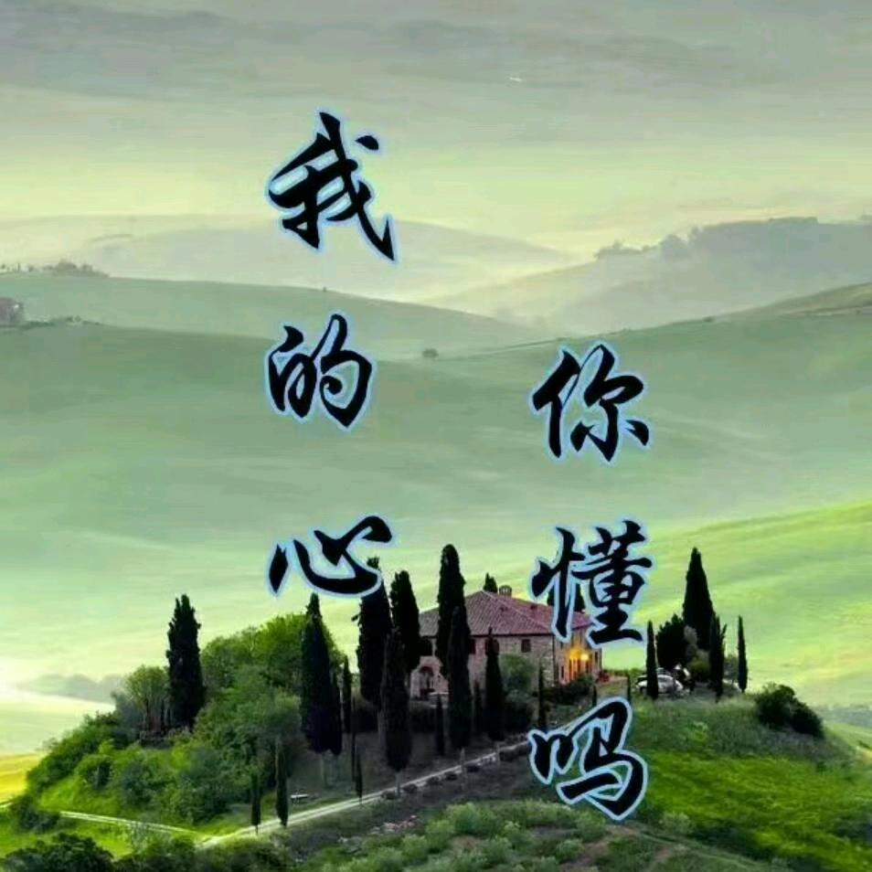 辉仔