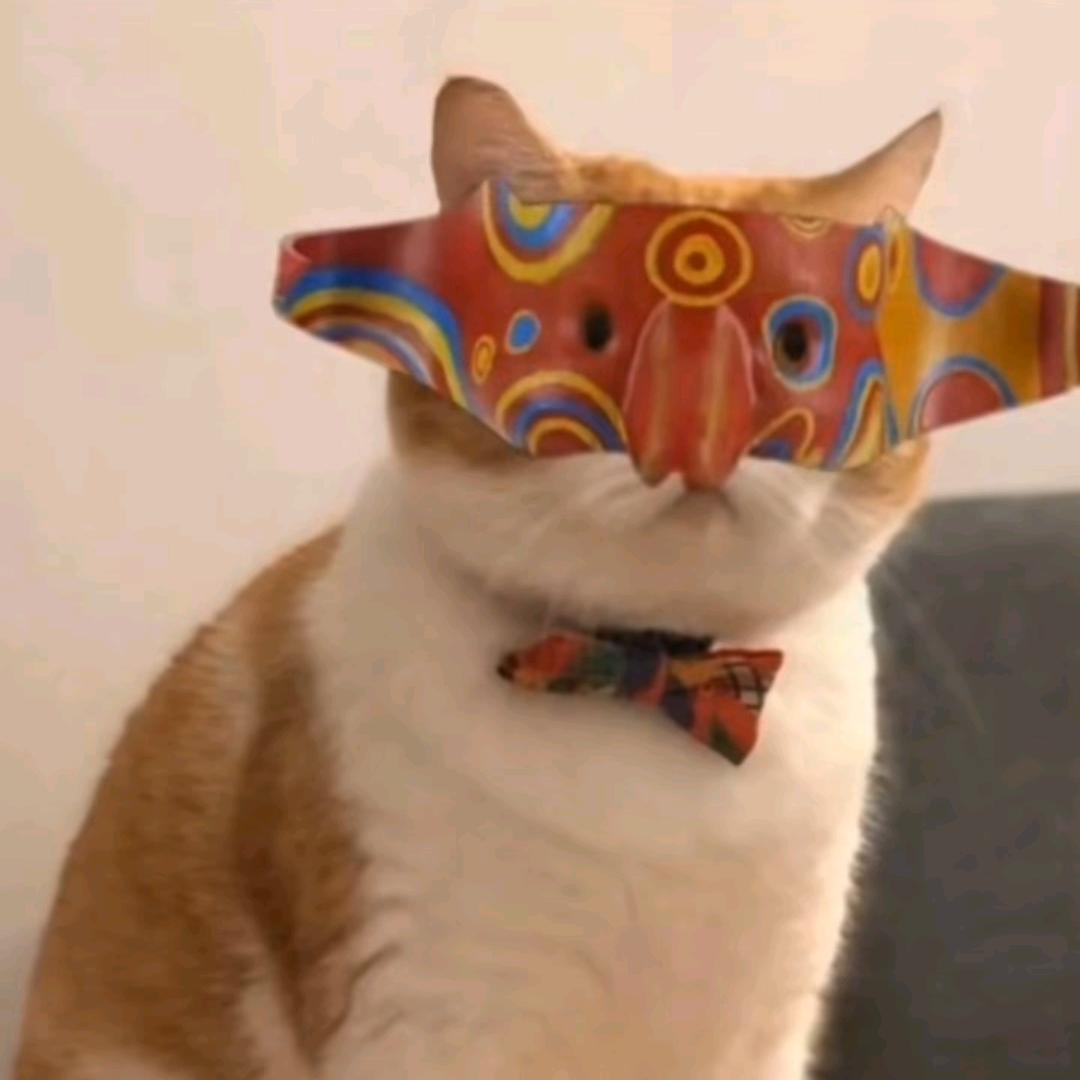 少年有前